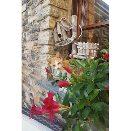 Apartmán Dinoabbo Oleandri