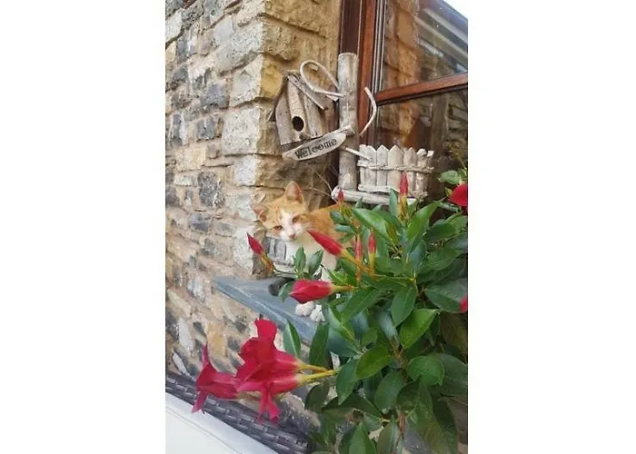 Apartmán Dinoabbo Oleandri